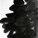 images/galeries/21/vignettes/sD1 20 34x45.jpg